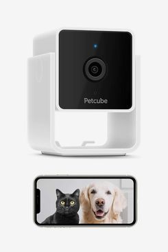 Petcube Pet Monitoring Camera