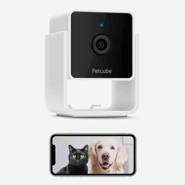 Petcube Pet Monitoring Camera