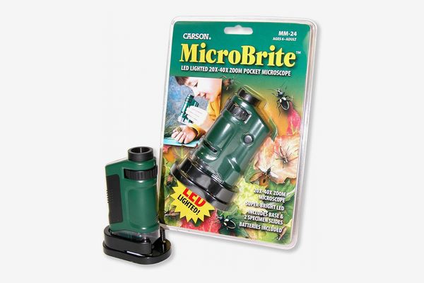 Carson MicroBrite 20x-40x LED Lighted Pocket Microscope