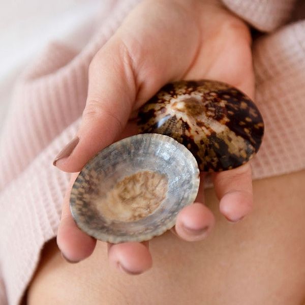 Shellies Breastfeeding Seashells