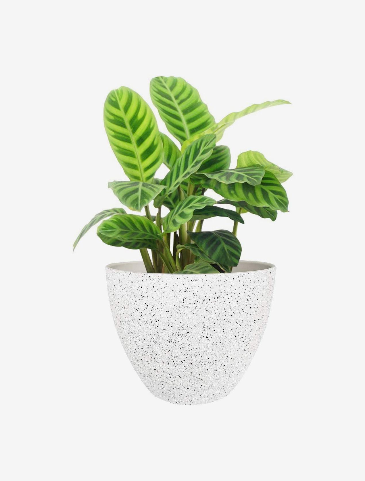 Fashion Texture Flower Pots w/ Drainage Hole Plastic Planters for House Plants 