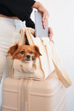 Béis The Everyday Pet Tote