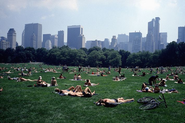 USA: New York City - Central Park