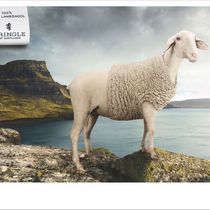 Wool sweater: model's own.
