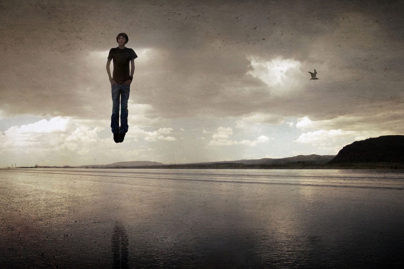 Preview Loupe the ArtStreaming App