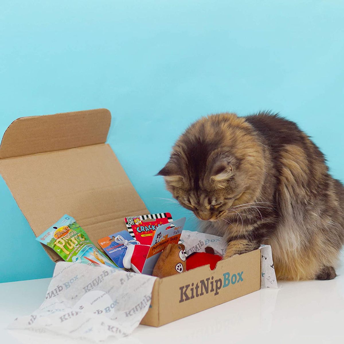 KitNipBox