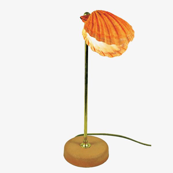 Lion’s Paw Table Lamp with Natural Scallop Shell Shade — Model No. 019