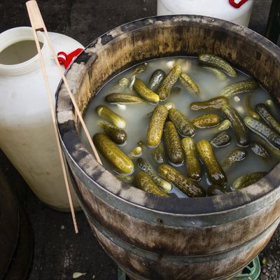 You're going to need a permit for those pickles.
