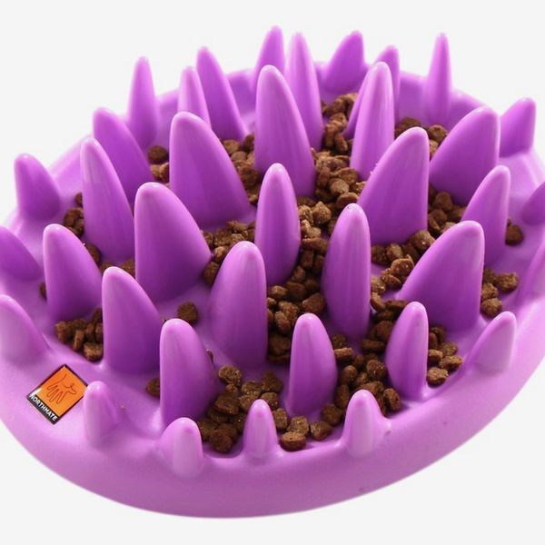 The Company of Animals Catch Interactive Feeder — Purple