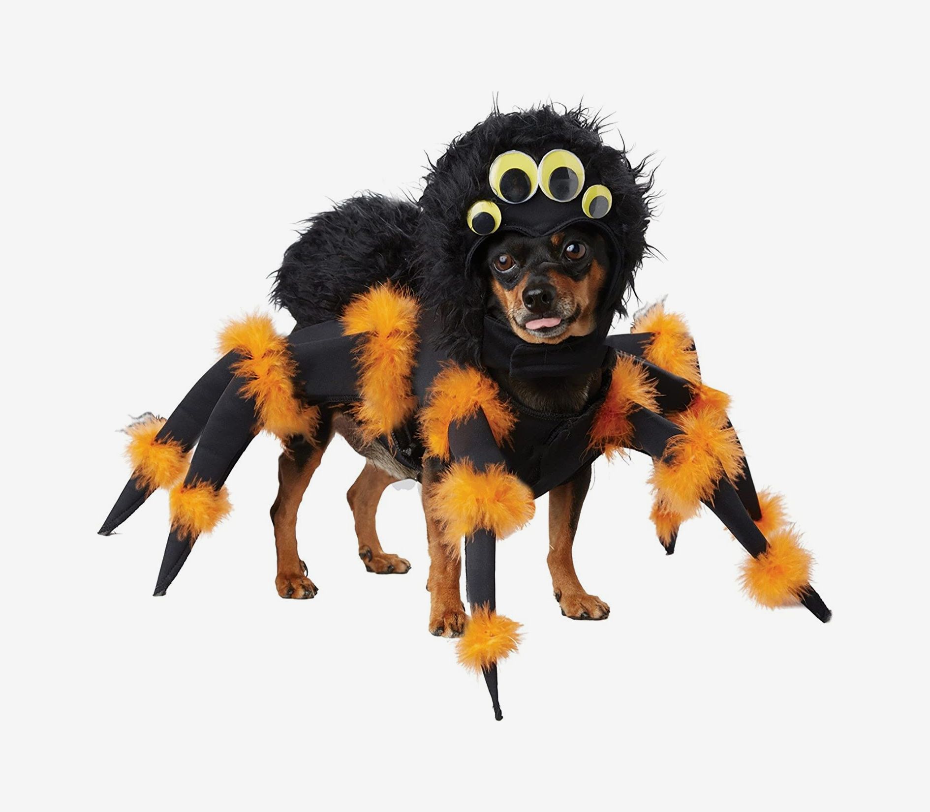 50 Best Dog Halloween Costume Ideas for 2022