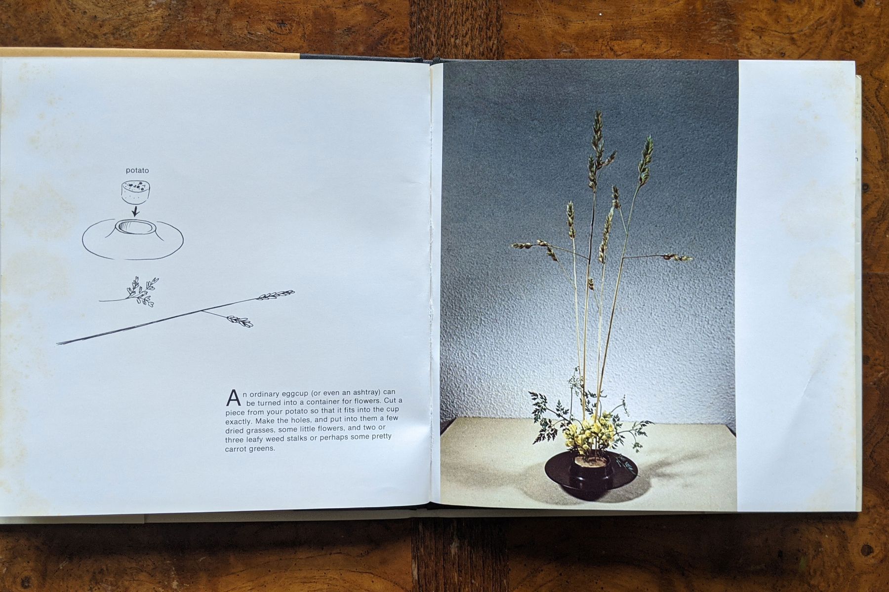 Fleurotica's Robin Rose Hilleary on Her Favorite Design Book