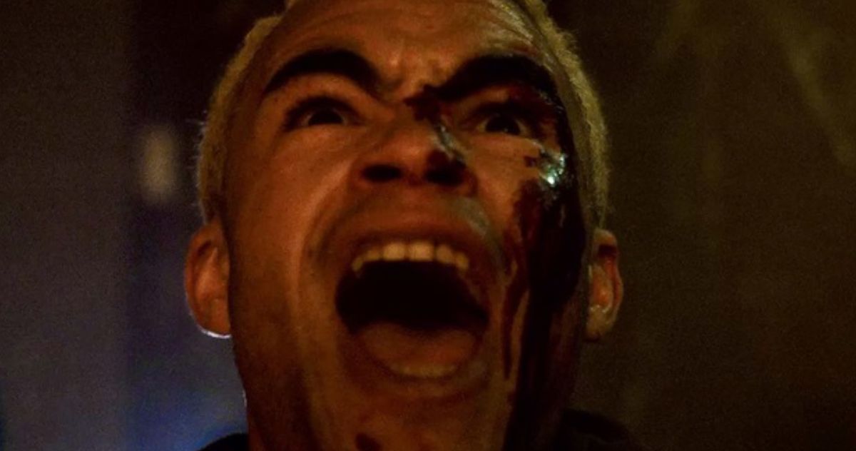 'Vermine' Review: The Scariest Film at Venice Has Spiders - Vimarsana News