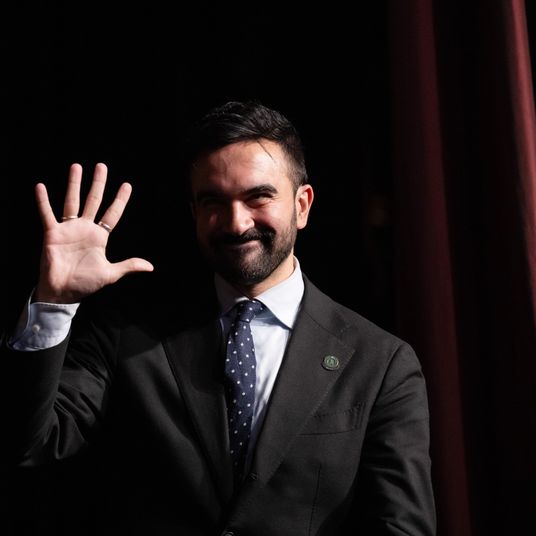 Zohran Mamdani, New York City mayoral candidate