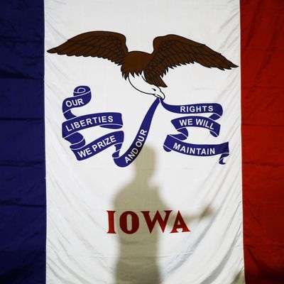 Iowa's state flag.
