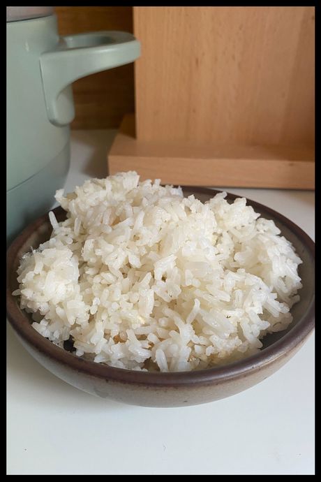 Photo of a bowl of rice on a counter in front of a multi cooker.