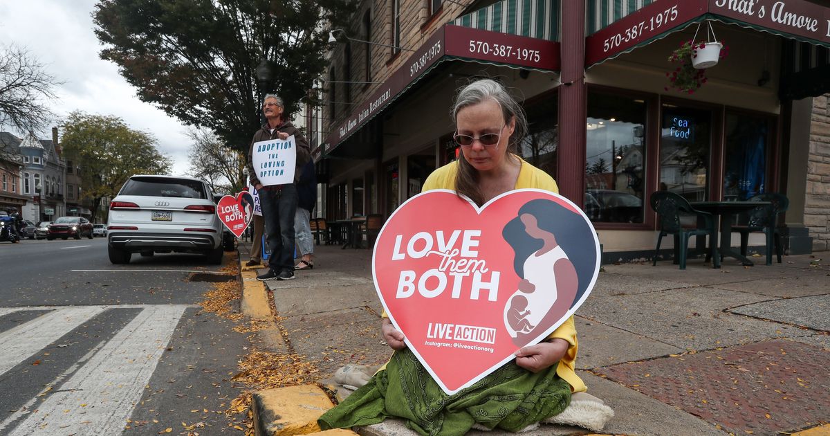 Abortion Opponents Like Kari Lake Can't Be 'Pro-Family' - Vimarsana News