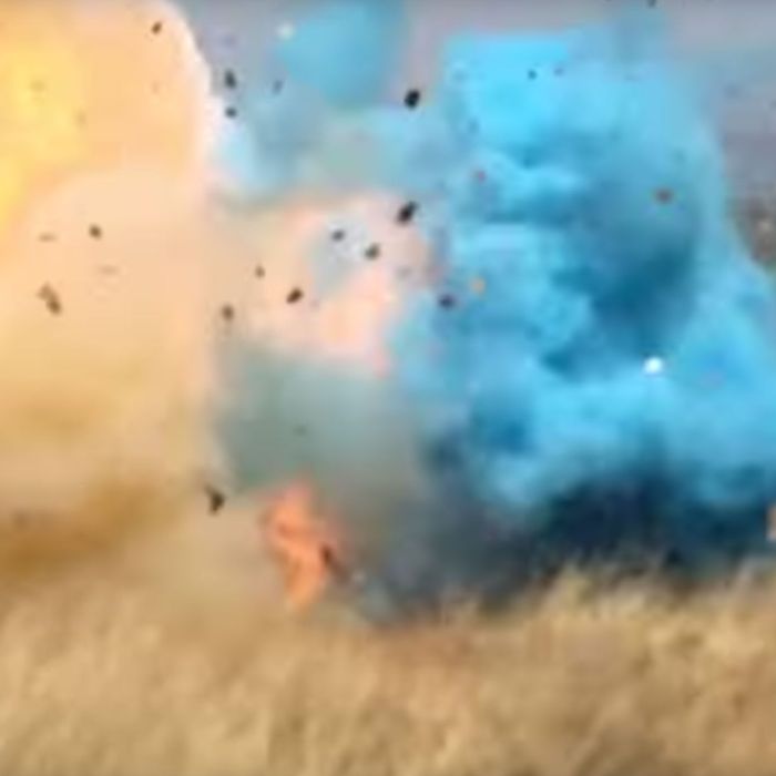 Watch Video Of Gender Reveal That Started Arizona Wildfire 