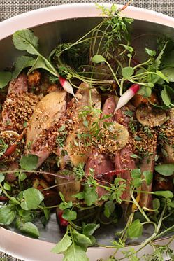 Poached New York State squab, barigoule of local vegetables