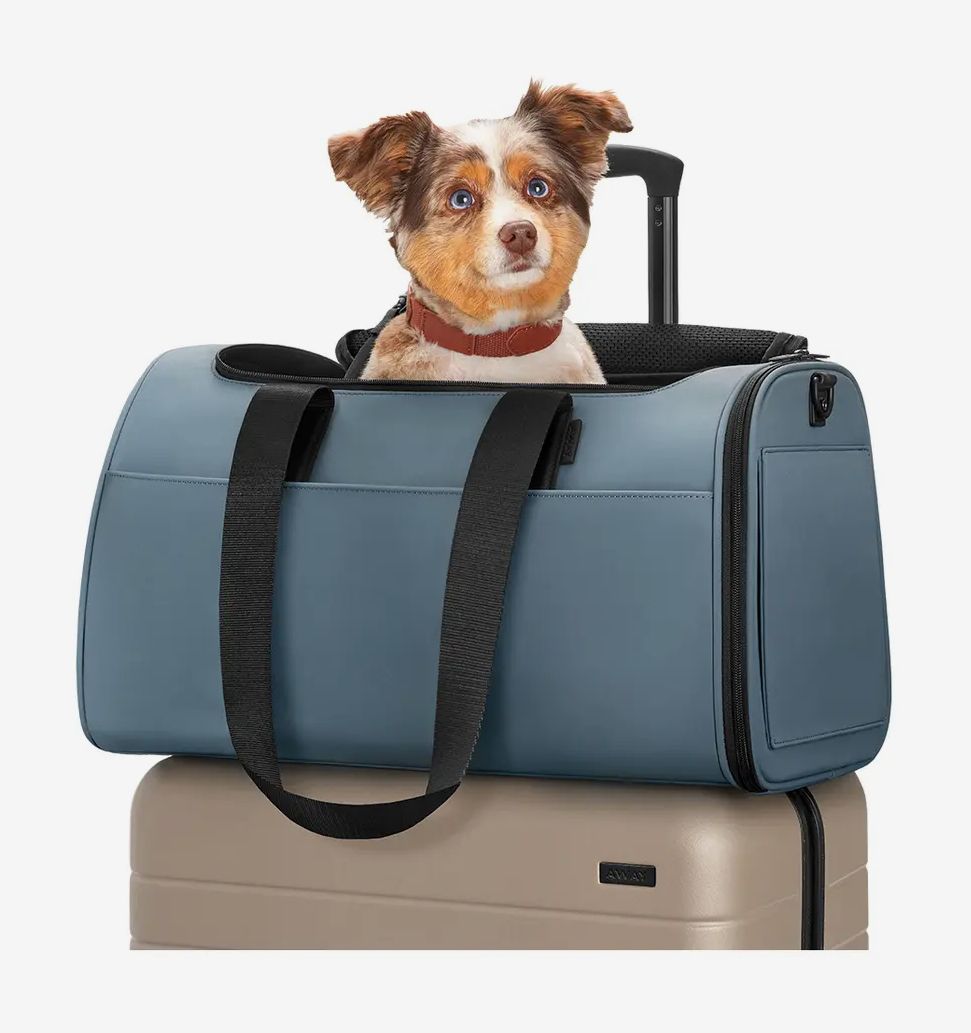 Louis Vuitton Dog Carrier - This one is perfect for traveling and