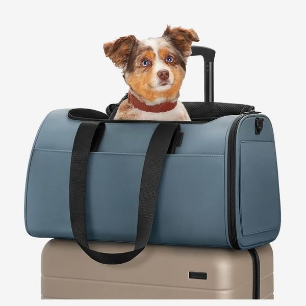 GJEASE Pet Dog Carrier with Wheels Pet Cat Carrier Rolling Travel with Durable Mesh Panels Breathable Pet Backpack Bag for Travel 