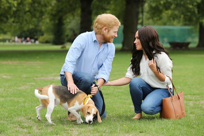 Wax Meghan Markle and Prince Harry Figures Have Come to Life