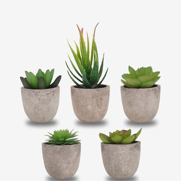 Set of 5 Artificial Succulent Plants
