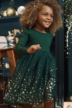 Hanna Andersson Long Sleeve Shimmer Tulle Dress