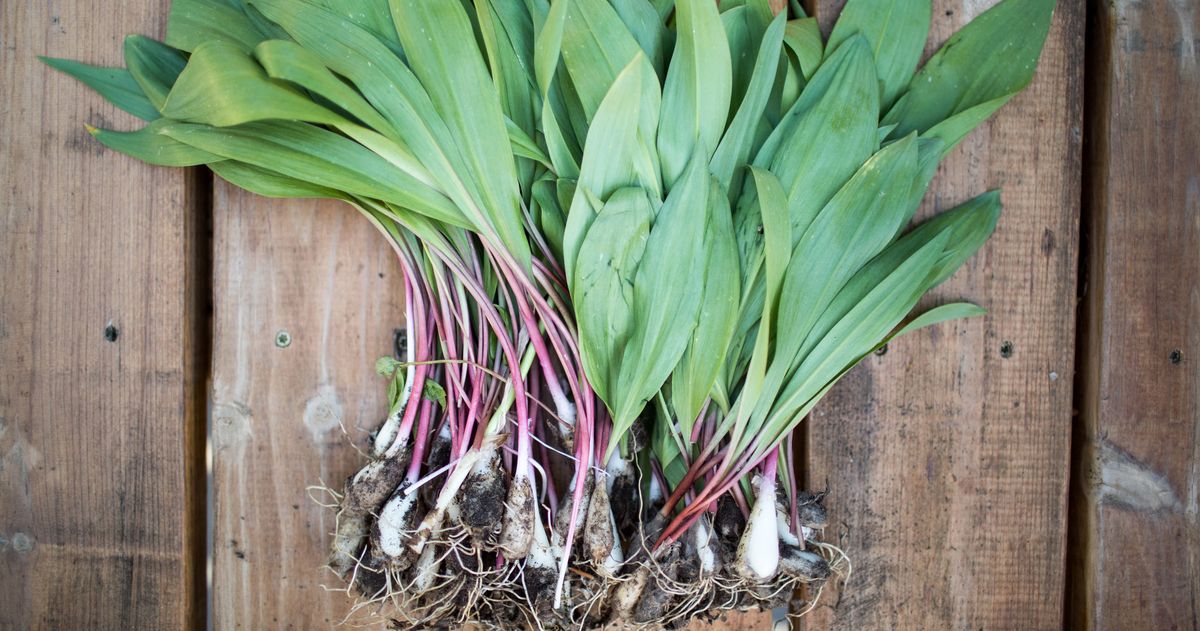 The Ramps Are Coming (on April 18)