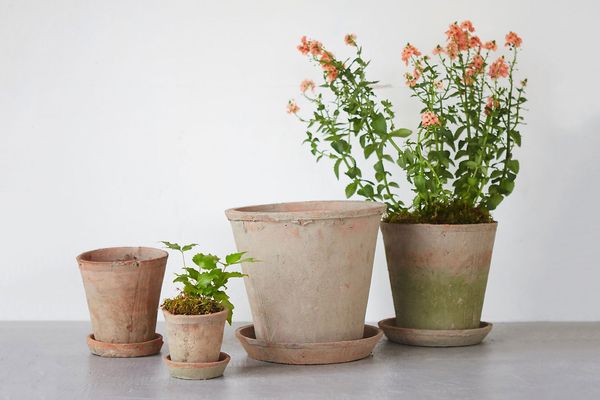 Earth Fired Clay Herb Pot + Saucer