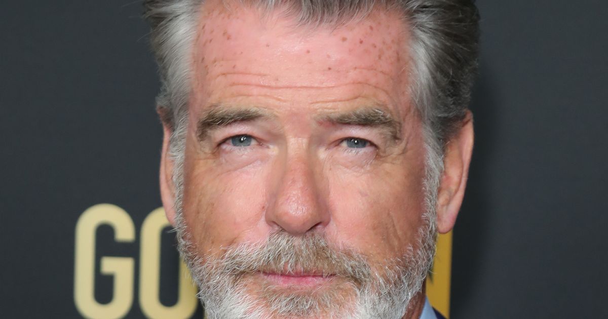 Pierce Brosnan with Long Layered Hair Style