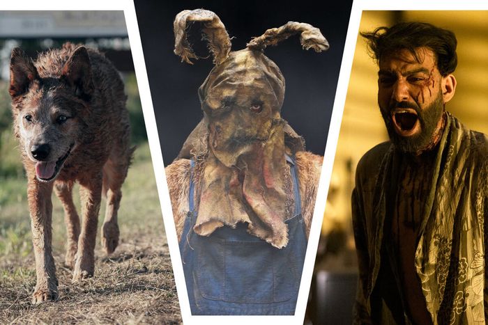 The 24 Best New Horror Movies and TV Shows Streaming in 2023