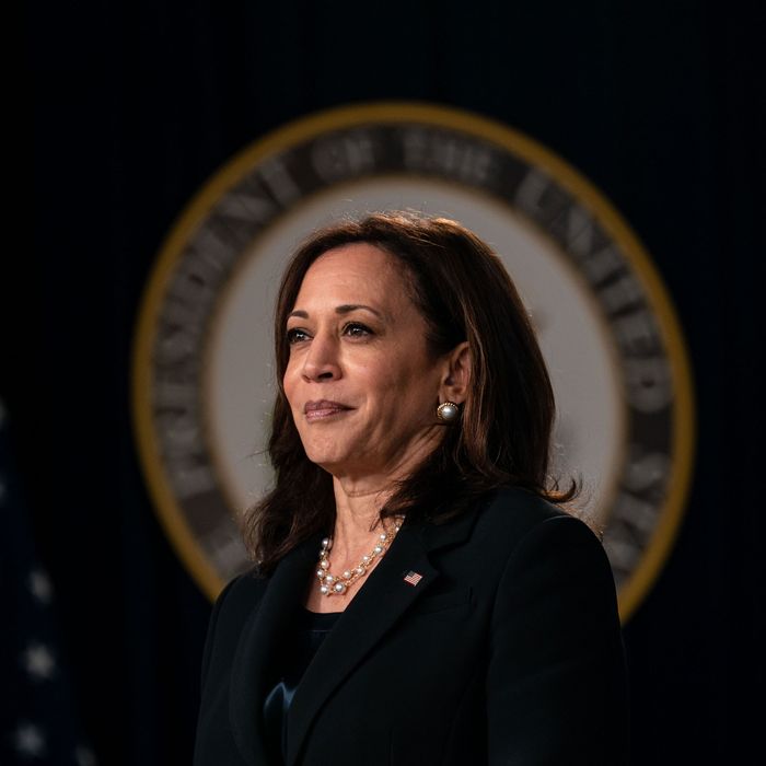 Kamala Harris Shouldn’t Have to Save the 2024 Election