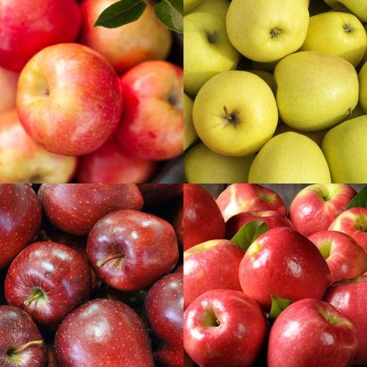 The Fruit Company Mountain Apple Medley