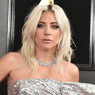 Lady Gaga's Dog Walker Addresses Armed Robbery, Shooting