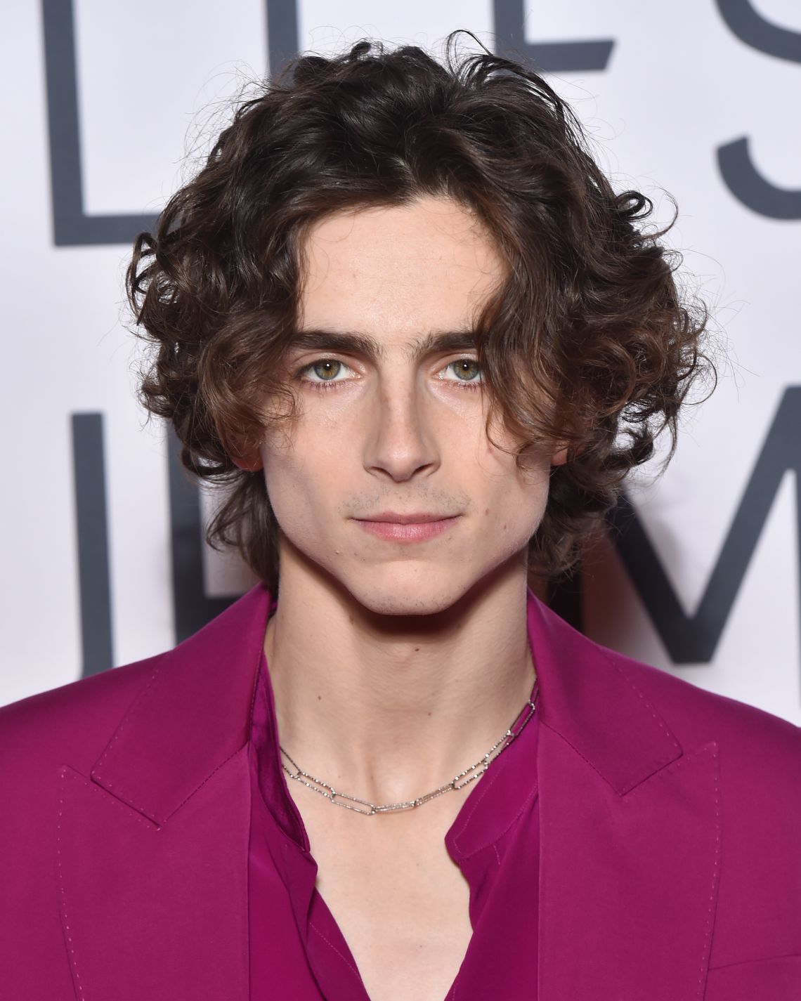 A Brief History of Timothée Chalamet's Beautiful Hair