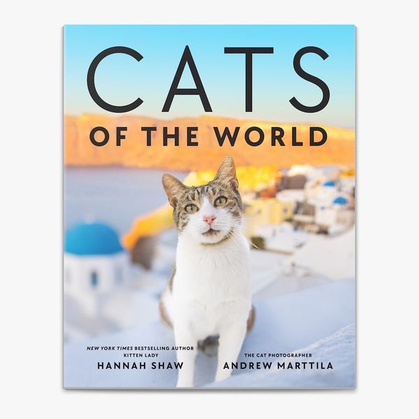 ‘Cats of the World,’ by Hannah Shaw and Andrew Marttila