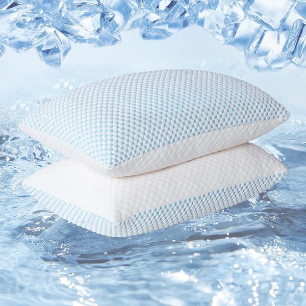 Alwyn Home Roquemore Firm Cooling Pillow (Set of 2)