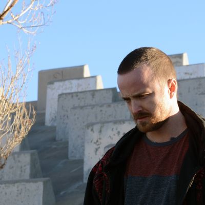 Jesse Pinkman (Aaron Paul) - Breaking Bad _ Season 5, Episode 11 - Photo Credit: Ursula Coyote/AMC