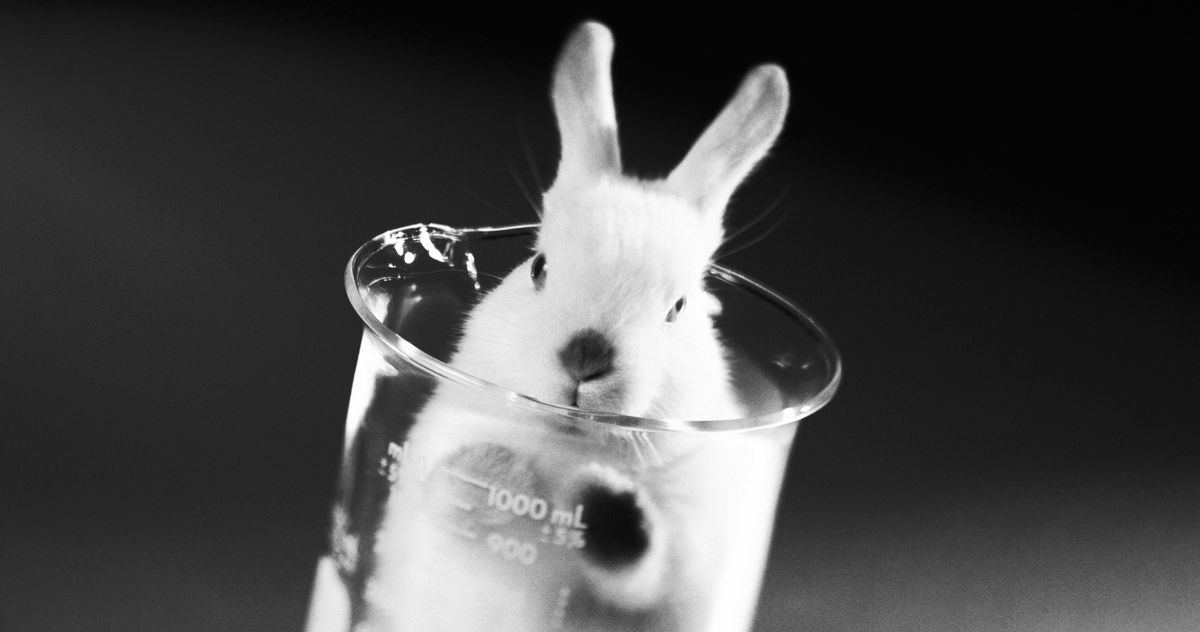 Watch 'Save Ralph,' a Good Reminder to Ban Animal Testing