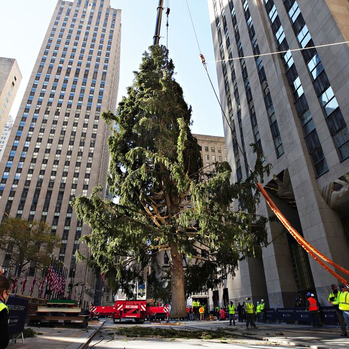 The Rockefeller Center Christmas Tree Got a GlowUp