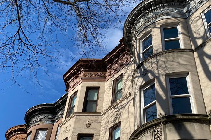 A row of four limestone and brick row houses on a block in Brooklyn.