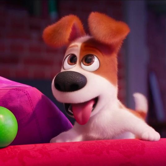 9 best puppy foods 2020 | the strategist | new york magazine