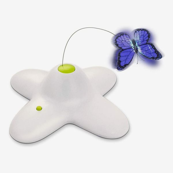 All for Paws Interactive Flutter Bug Cat Butterfly Toy