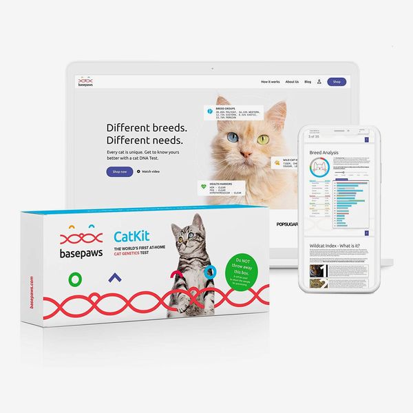 Basepaws Cat DNA Test Kit