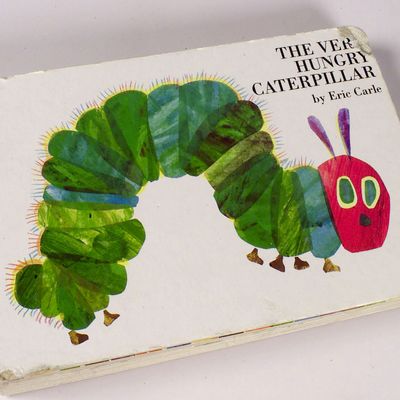 The Hungry Caterpillar is the Only One I Knew
