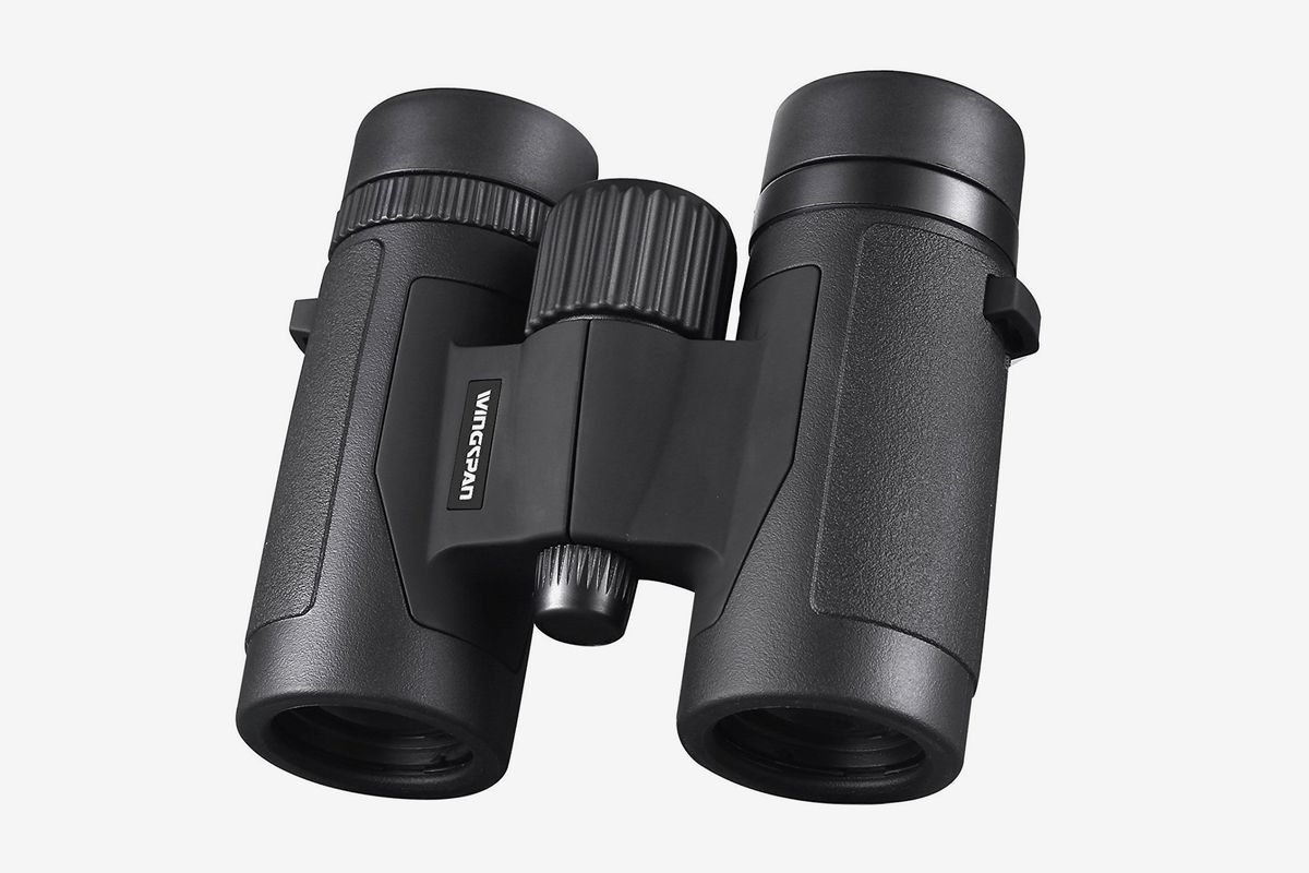 Impermeablenegro8x42 Binocular Eyeskey Compact 