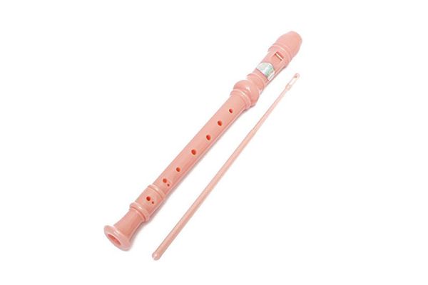 KINGSO 8-Hole Soprano Descant Recorder With Cleaning Rod + Case Bag Music Instrument