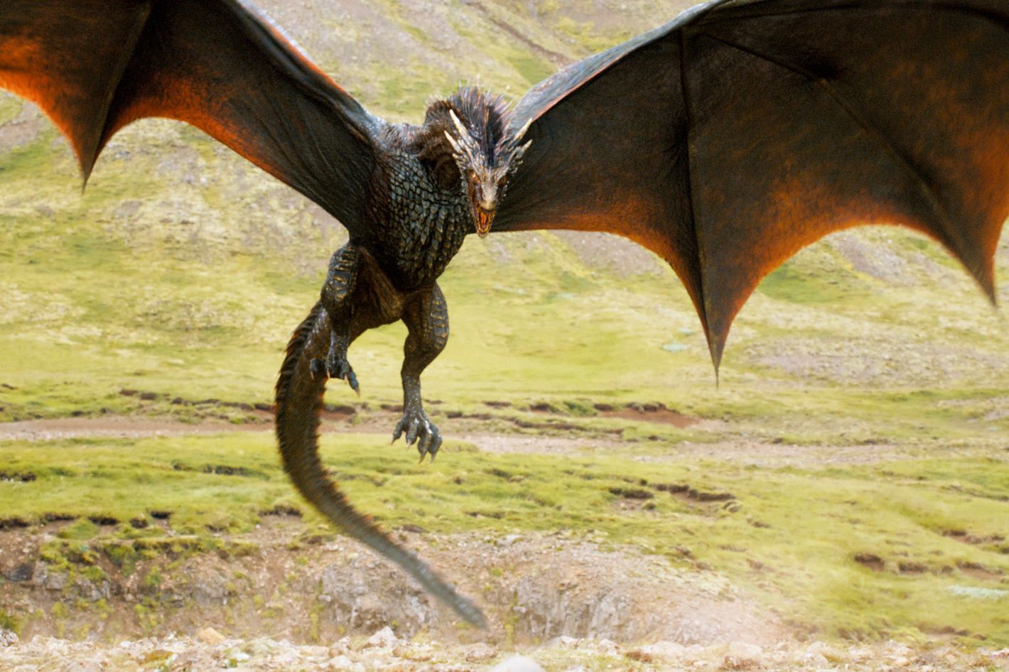 Game Of Thrones Season 4 Dragon Size