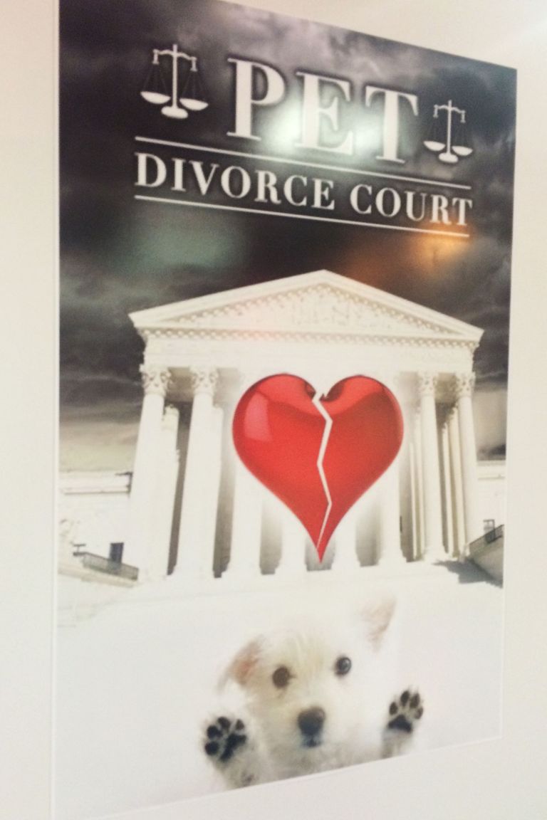 So many questions! Are the pets divorcing each other? Are they divorcing their owners, in which case it's more like Pet Emancipation Court? Or maybe a pet presides over a traditional human divorce court, literally barking orders at two estranged spouses? (Please excuse me while I go copyright that idea.)