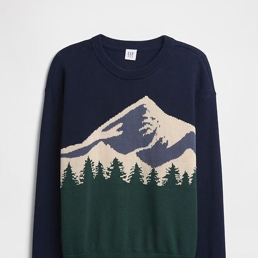 Gap Factory Intarsia Sweater (Boys)